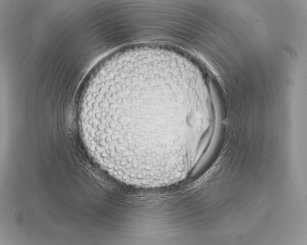 X0000115160830200912081406