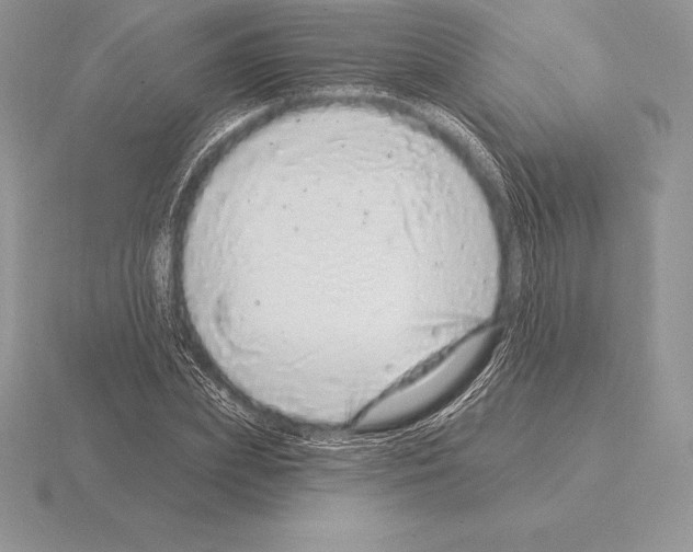 X0000115160831200912081406