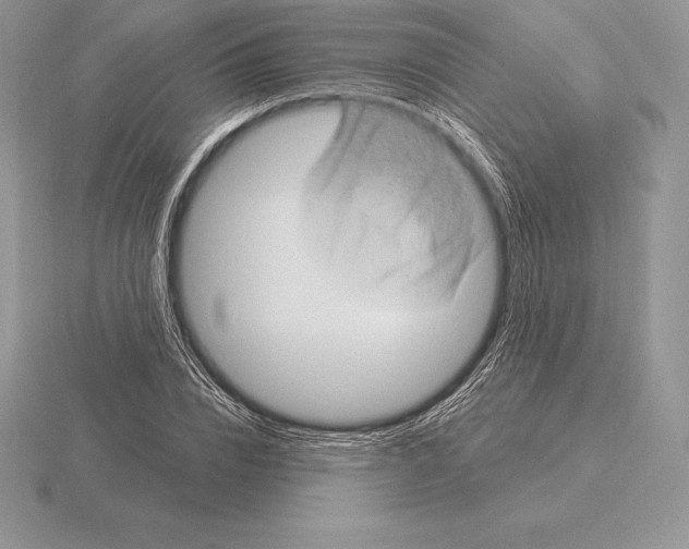 X0000115160832200912081406