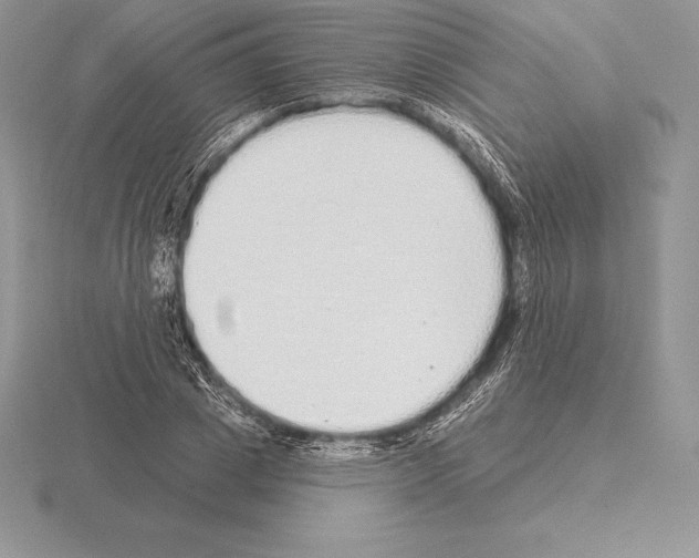 X0000115160833200912081406