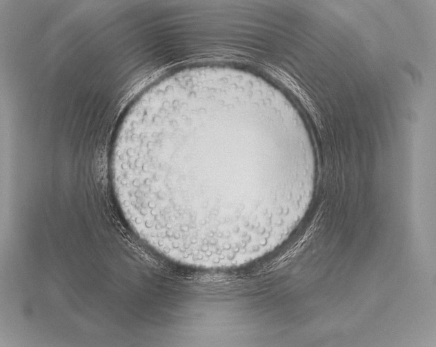 X0000115160834200912081406