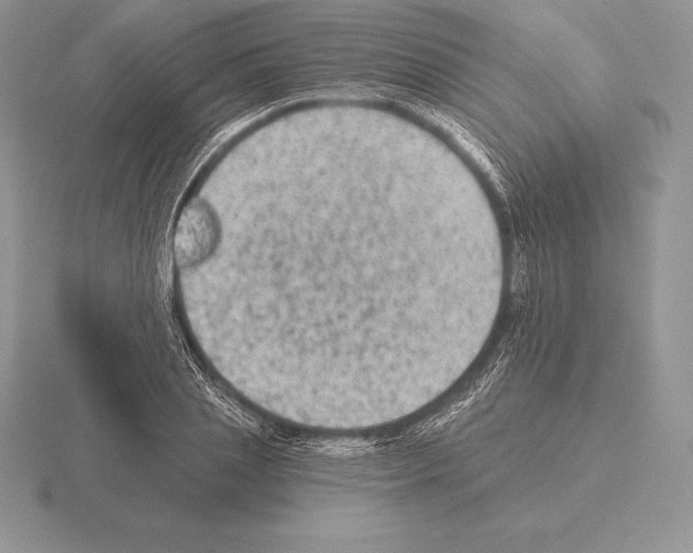 X0000115160837200912081406