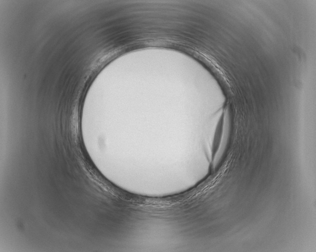 X0000115160840200912081406