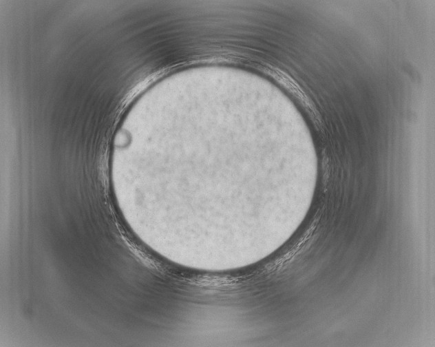 X0000115160842200912081406