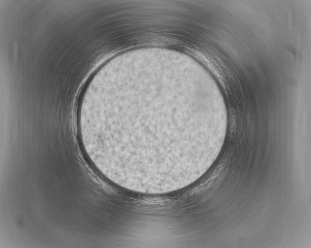 X0000115160843200912081406