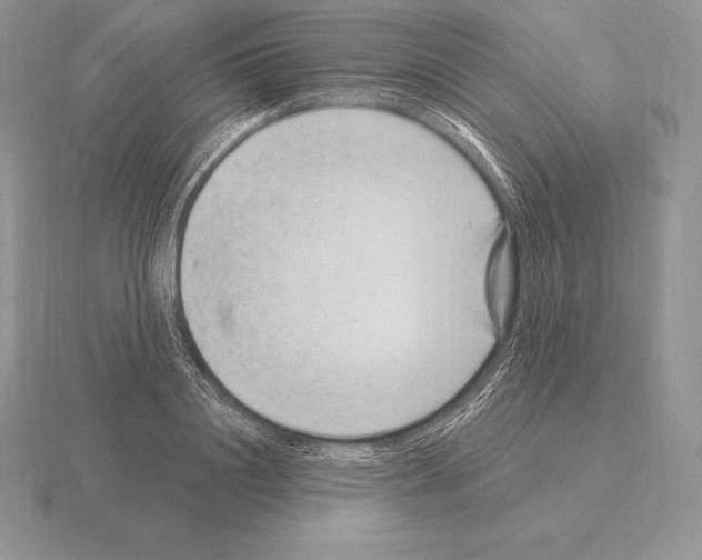 X0000115160844200912081406