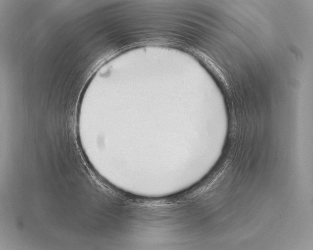 X0000115160845200912081406