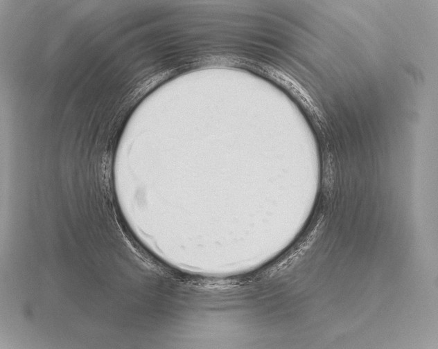 X0000115160849200912081406