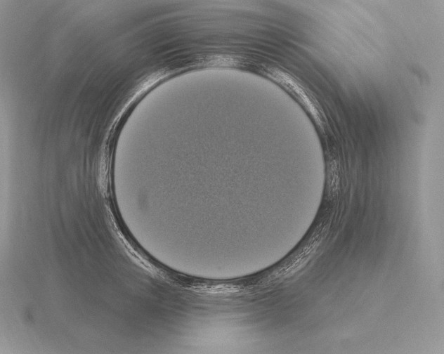 X0000115160851200912081406