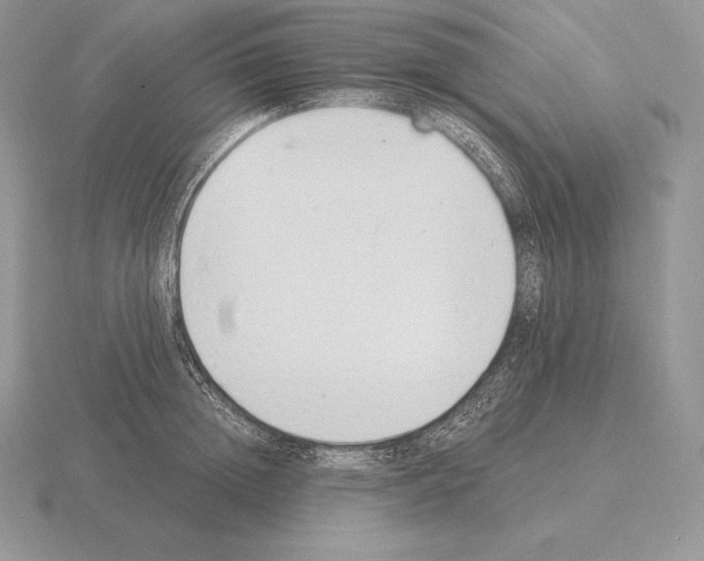 X0000115160852200912081406