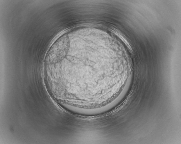 X0000115160853200912081406