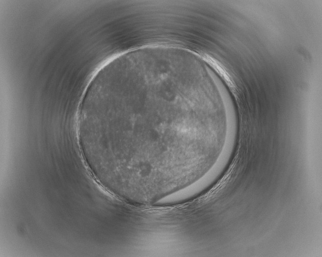 X0000115160854200912081406