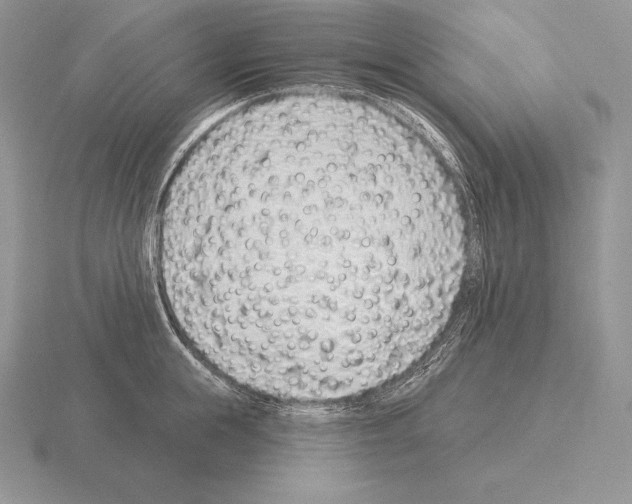 X0000115160855200912081406