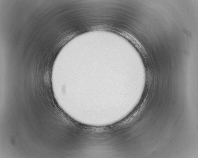 X0000115160857200912081407