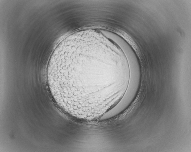 X0000115160858200912081407