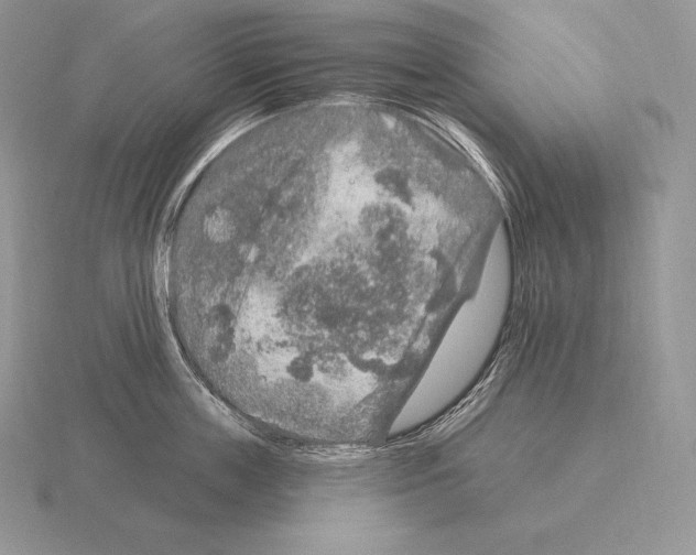 X0000115160859200912081407