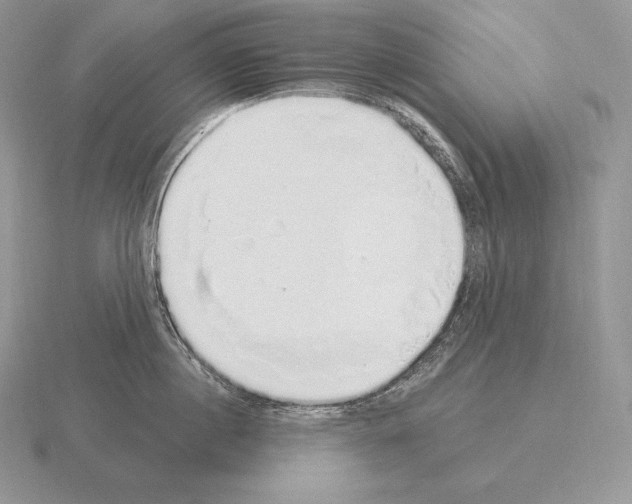 X0000115160860200912081407