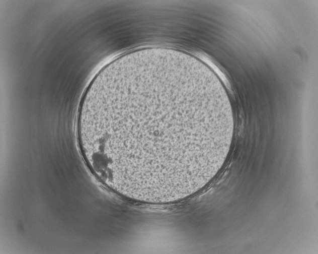 X0000115160861200912081407