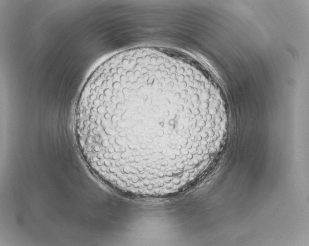 X0000115160862200912081407