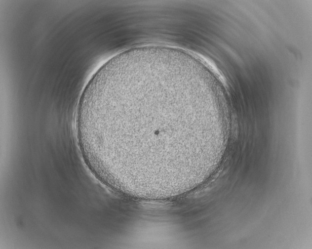 X0000115160863200912081407