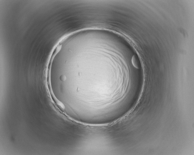 X0000115160864200912081407