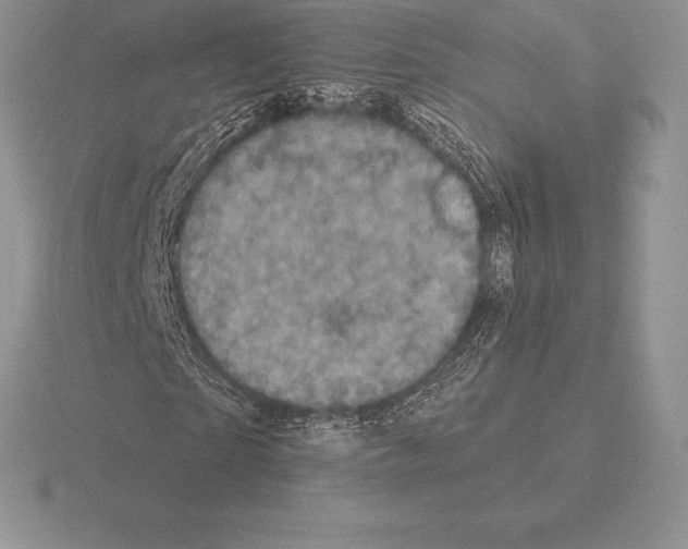 X0000115160865200912081406