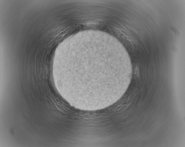 X0000115160868200912081406