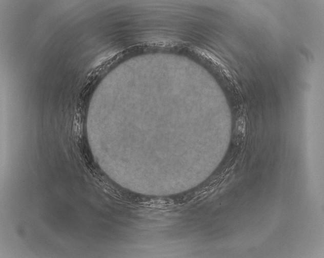 X0000115160869200912081406