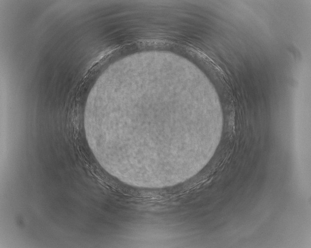 X0000115160870200912081406