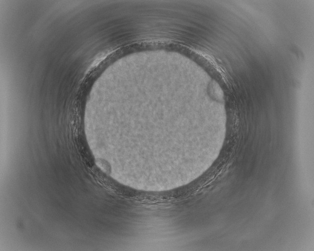 X0000115160871200912081406