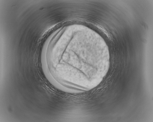 X0000115160872200912081406