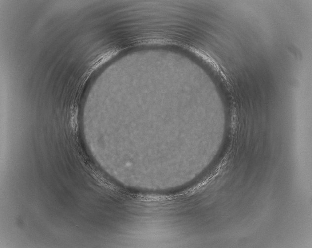 X0000115160873200912081406