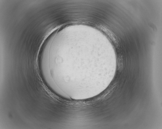 X0000115160876200912081406