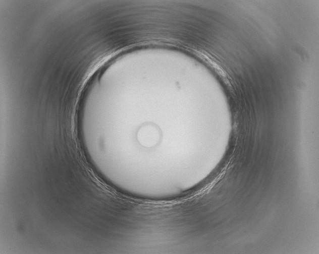 X0000115160877200912081406