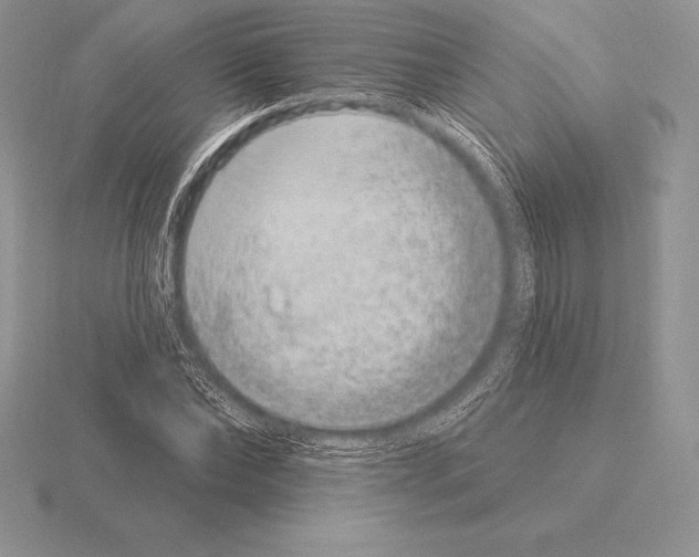 X0000115160878200912081406