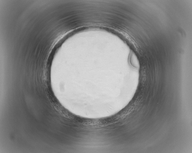 X0000115160879200912081406