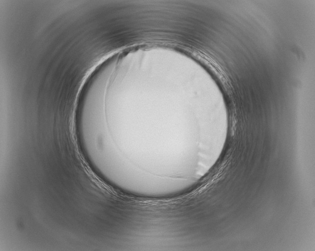 X0000115160880200912081406