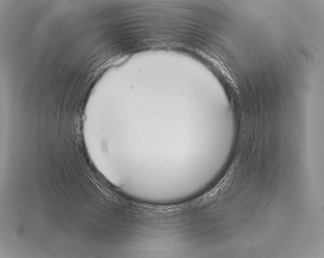 X0000115160881200912081406