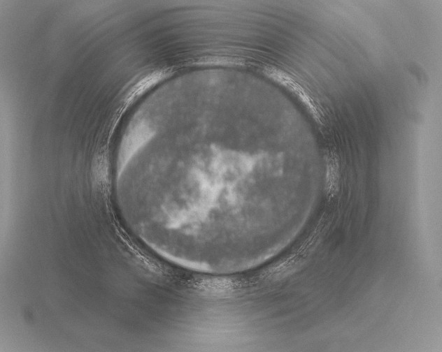 X0000115160882200912081406