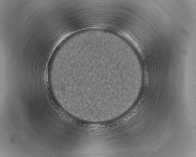 X0000115160883200912081406