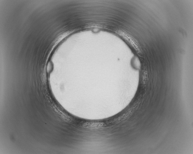 X0000115160884200912081406