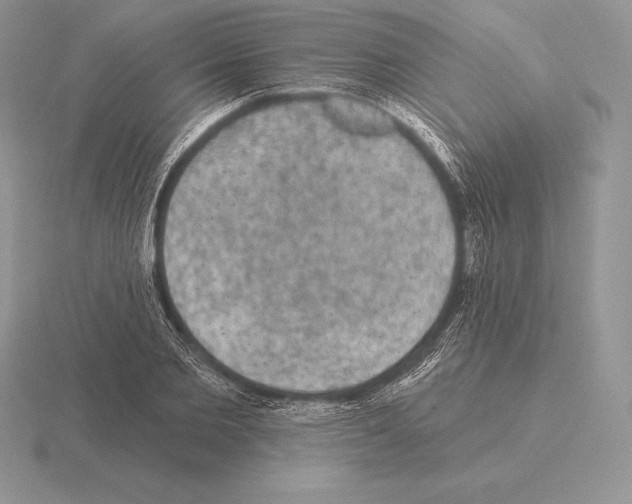 X0000115160885200912081406