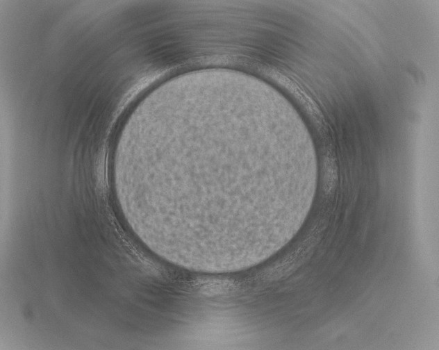 X0000115160886200912081406