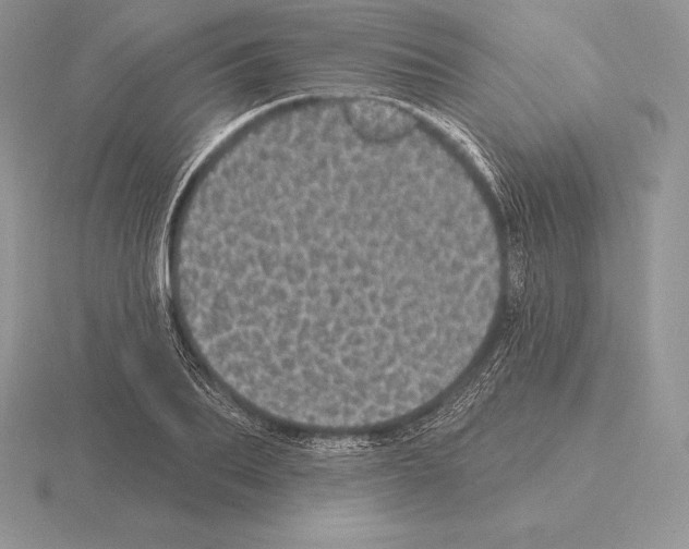 X0000115160887200912081406