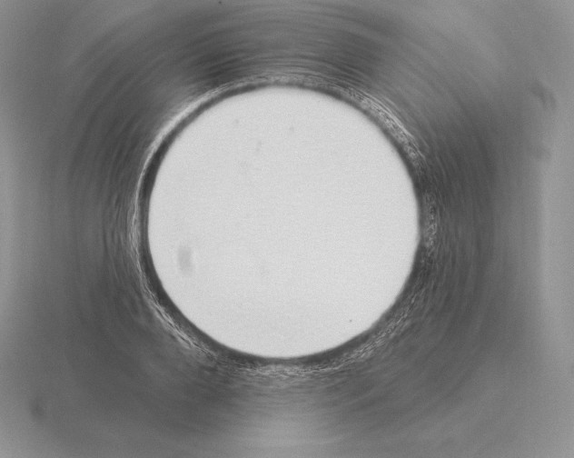 X0000115160888200912081406