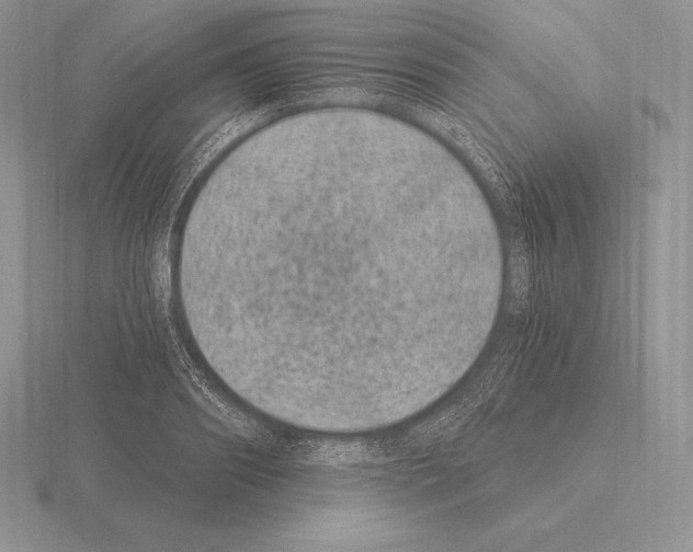 X0000115160890200912081406