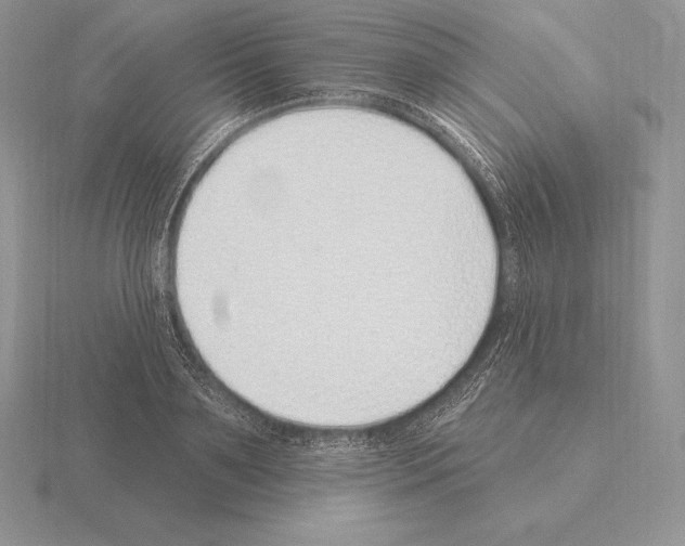 X0000115160891200912081406