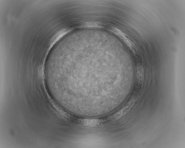 X0000115160893200912081406