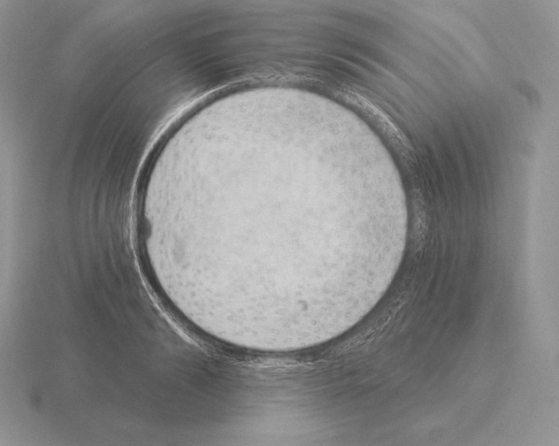 X0000115160894200912081406