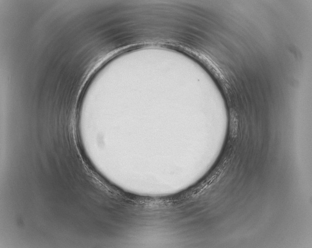 X0000115160895200912081406